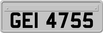 GEI4755