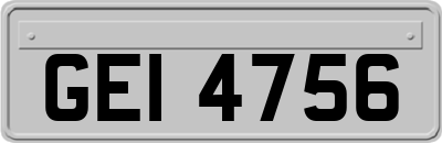 GEI4756