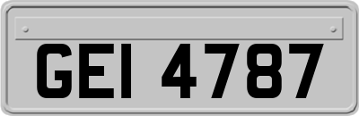 GEI4787
