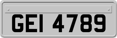 GEI4789