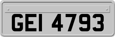 GEI4793