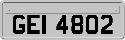 GEI4802