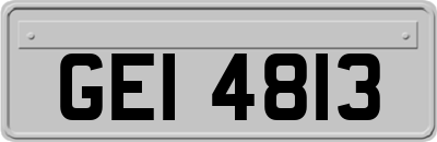 GEI4813