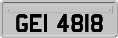 GEI4818