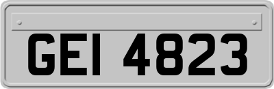 GEI4823