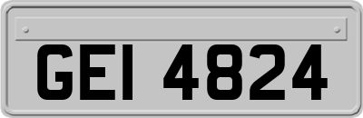 GEI4824
