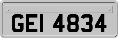 GEI4834