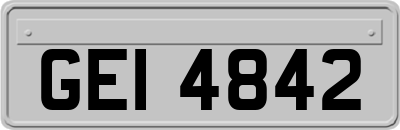 GEI4842