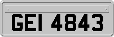 GEI4843