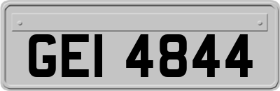 GEI4844