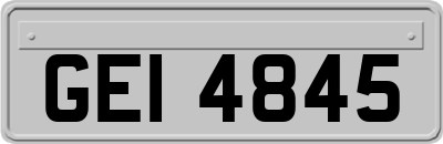 GEI4845