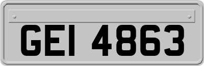 GEI4863