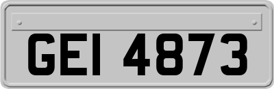GEI4873