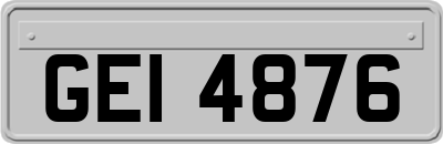 GEI4876