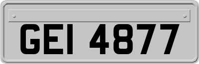 GEI4877