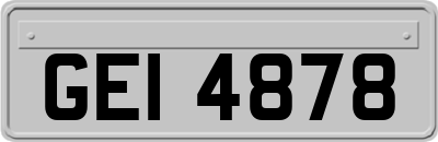 GEI4878