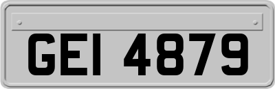 GEI4879