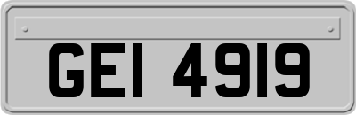 GEI4919
