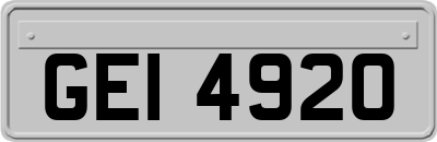 GEI4920