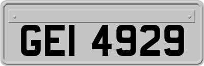 GEI4929