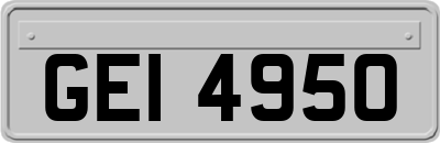 GEI4950
