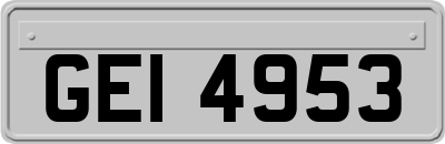 GEI4953