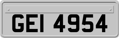 GEI4954