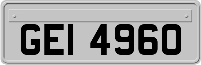 GEI4960