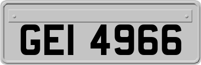 GEI4966