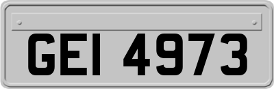 GEI4973