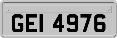 GEI4976