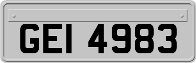 GEI4983