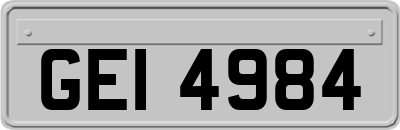 GEI4984