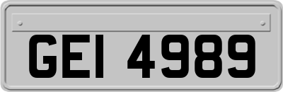 GEI4989