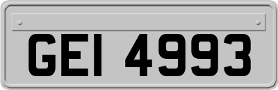 GEI4993