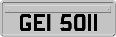 GEI5011