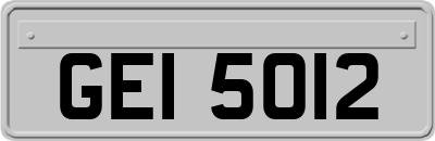GEI5012