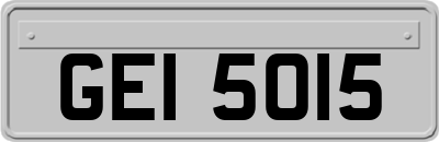 GEI5015
