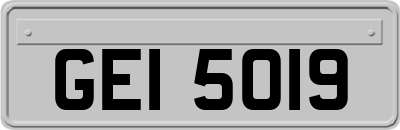 GEI5019