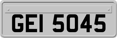 GEI5045