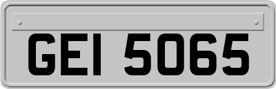 GEI5065