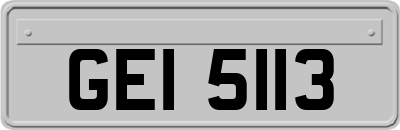 GEI5113