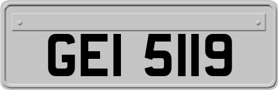 GEI5119