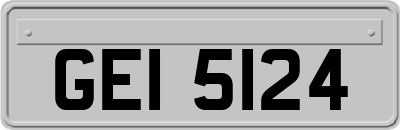 GEI5124