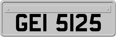 GEI5125