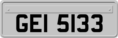 GEI5133