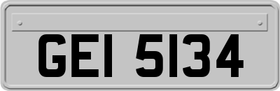 GEI5134