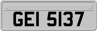 GEI5137