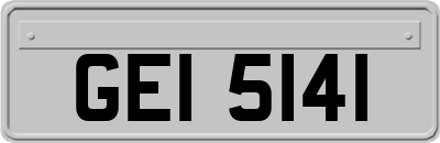 GEI5141