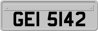 GEI5142